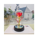 Rosa Encantada com Iluminação LED