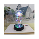 Rosa Encantada com Iluminação LED