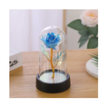 Rosa Encantada com Iluminação LED