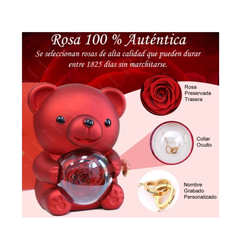 Colar Personalizado + Panda Teddybear + Caixa Giratória Rosa Eterna