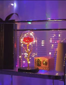 Rosa Encantada com Iluminação LED